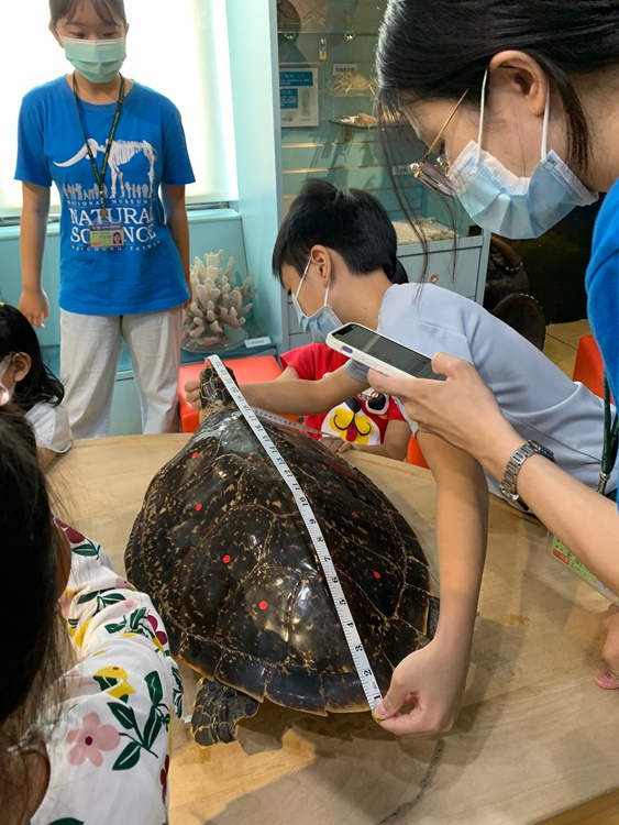 幼兒園：小海龜的超級任務(7/19-20)-圖片227