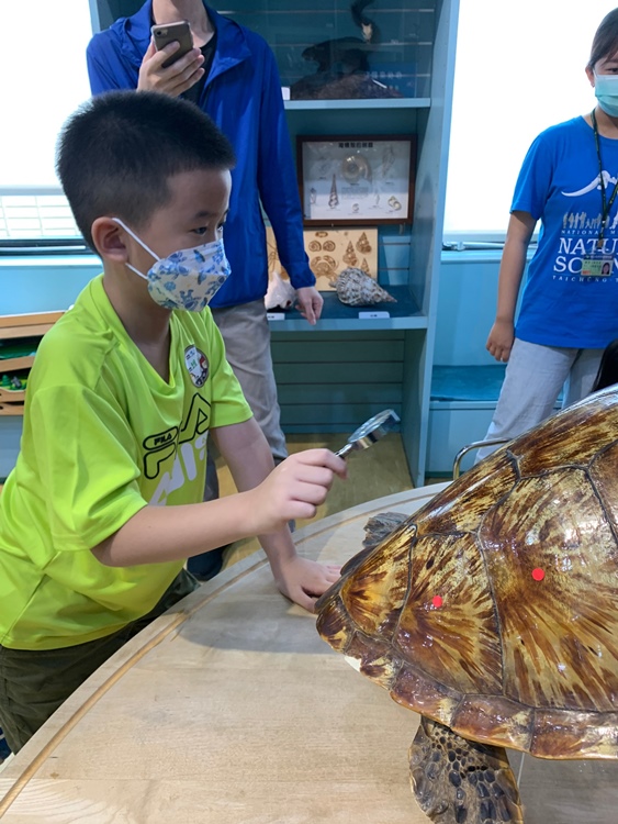 幼兒園：小海龜的超級任務(7/19-20)-圖片228