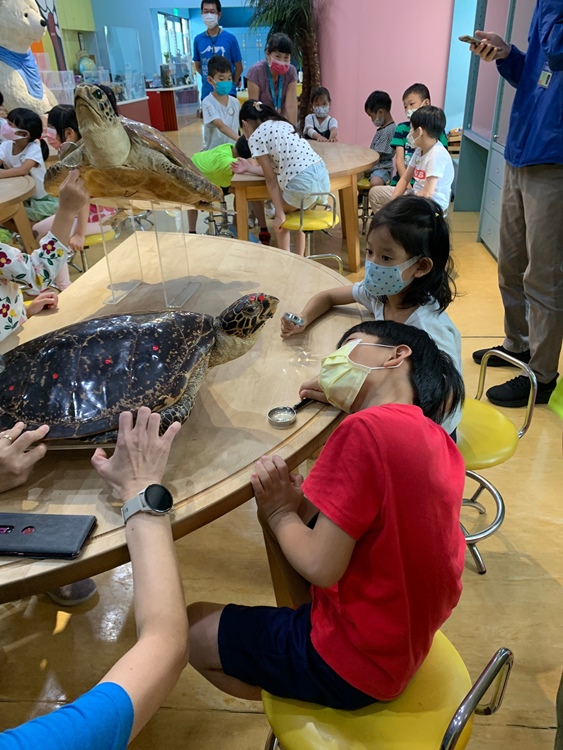 幼兒園：小海龜的超級任務(7/19-20)-圖片229