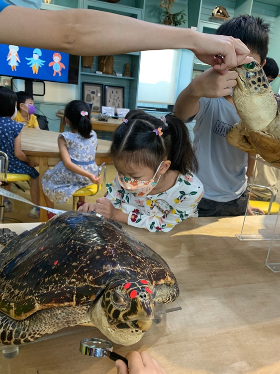 幼兒園：小海龜的超級任務(7/19-20)-圖片230