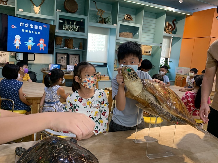 幼兒園：小海龜的超級任務(7/19-20)-圖片231