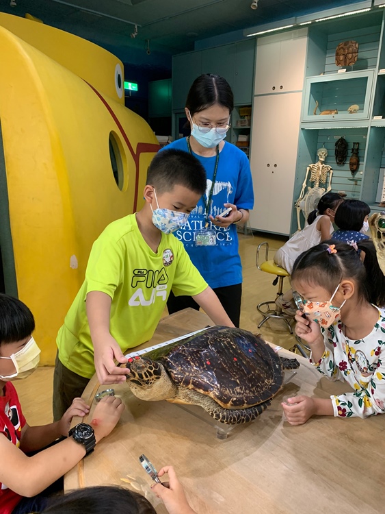 幼兒園：小海龜的超級任務(7/19-20)-圖片232