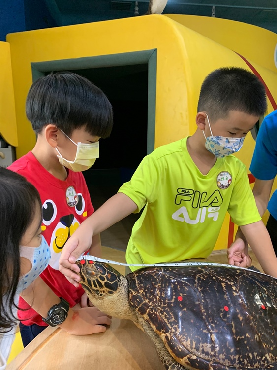 幼兒園：小海龜的超級任務(7/19-20)-圖片233