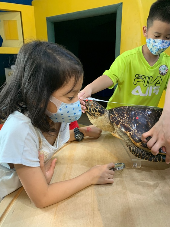 幼兒園：小海龜的超級任務(7/19-20)-圖片234