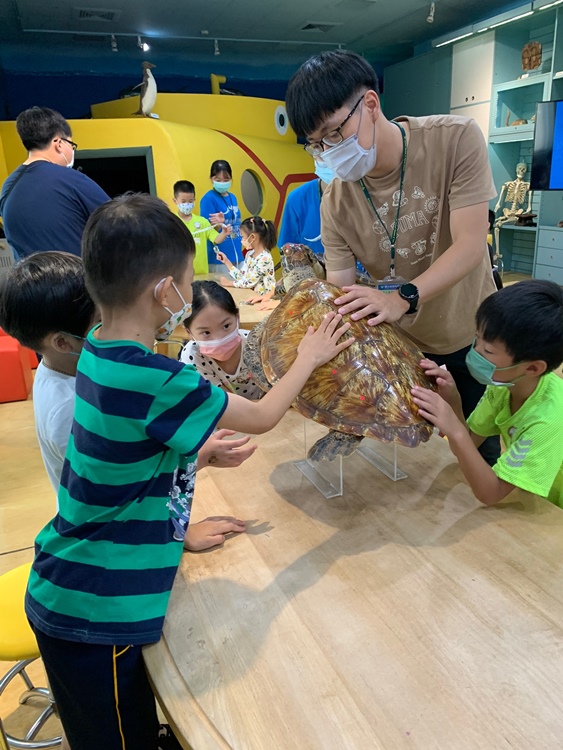 幼兒園：小海龜的超級任務(7/19-20)-圖片235