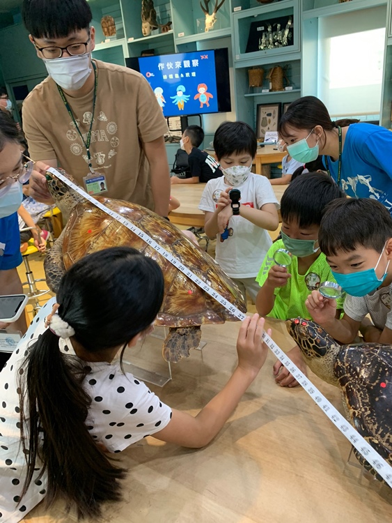 幼兒園：小海龜的超級任務(7/19-20)-圖片236