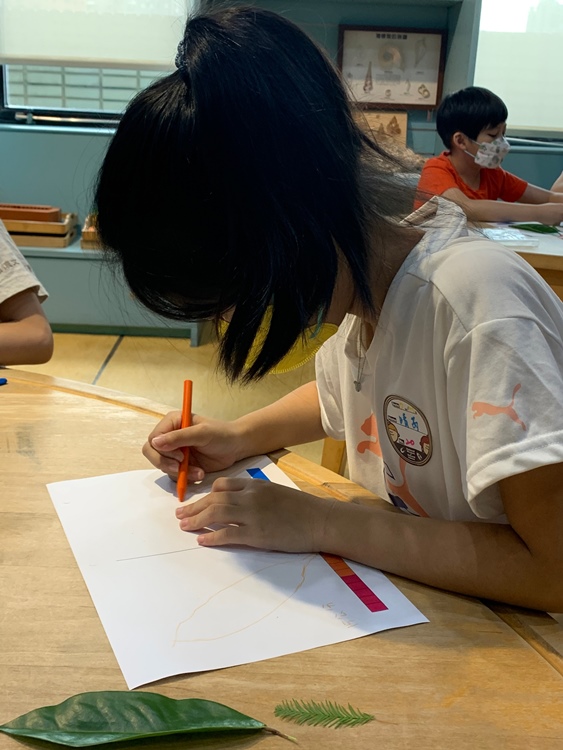 幼兒園：綠葉仙蹤(7/21-22)-圖片2