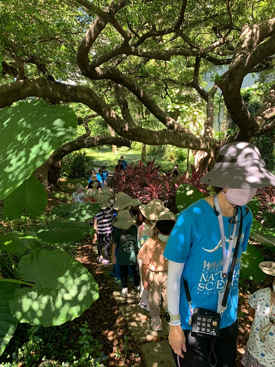 幼兒園：綠葉仙蹤(7/21-22)-圖片3