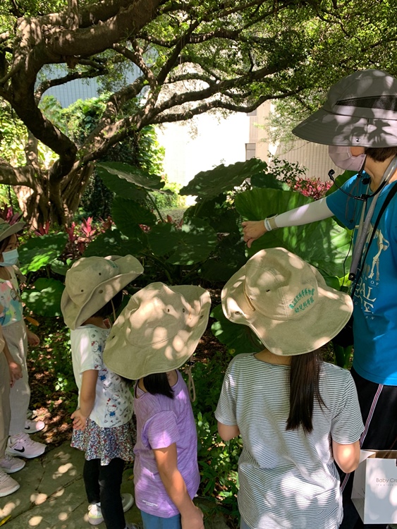 幼兒園：綠葉仙蹤(7/21-22)-圖片4