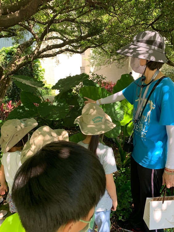 幼兒園：綠葉仙蹤(7/21-22)-圖片5