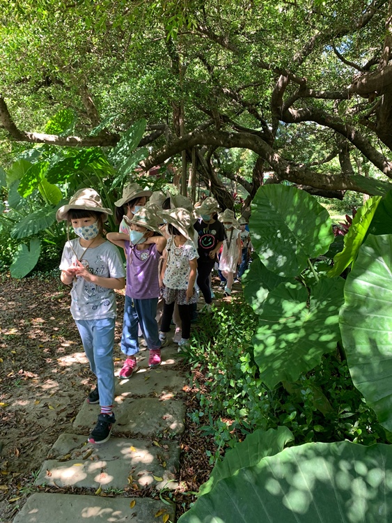 幼兒園：綠葉仙蹤(7/21-22)-圖片6