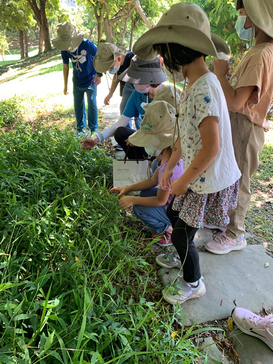 幼兒園：綠葉仙蹤(7/21-22)-圖片7