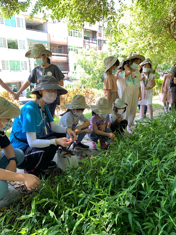 幼兒園：綠葉仙蹤(7/21-22)-圖片8