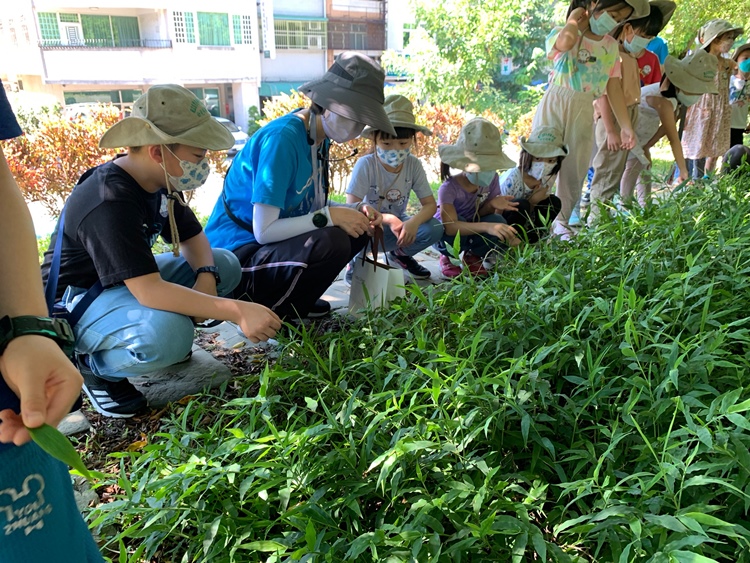 幼兒園：綠葉仙蹤(7/21-22)-圖片9