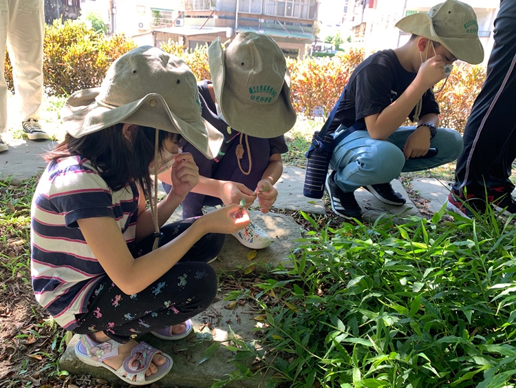 幼兒園：綠葉仙蹤(7/21-22)-圖片11