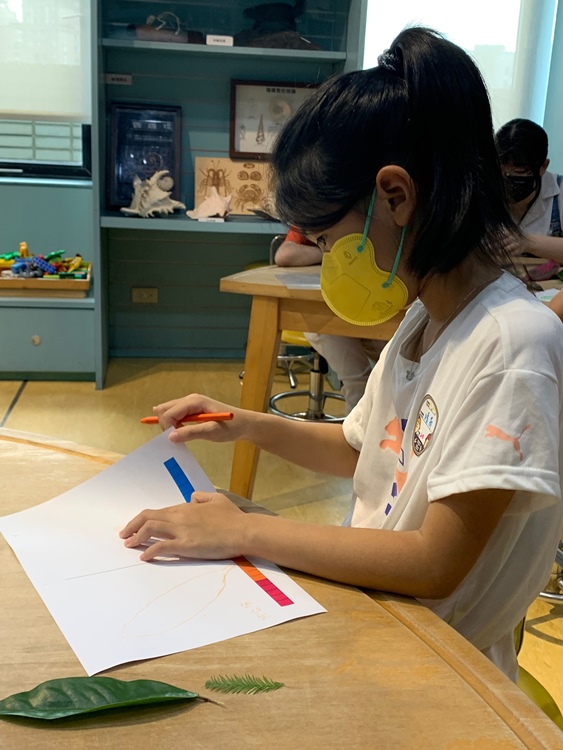 幼兒園：綠葉仙蹤(7/21-22)-圖片13