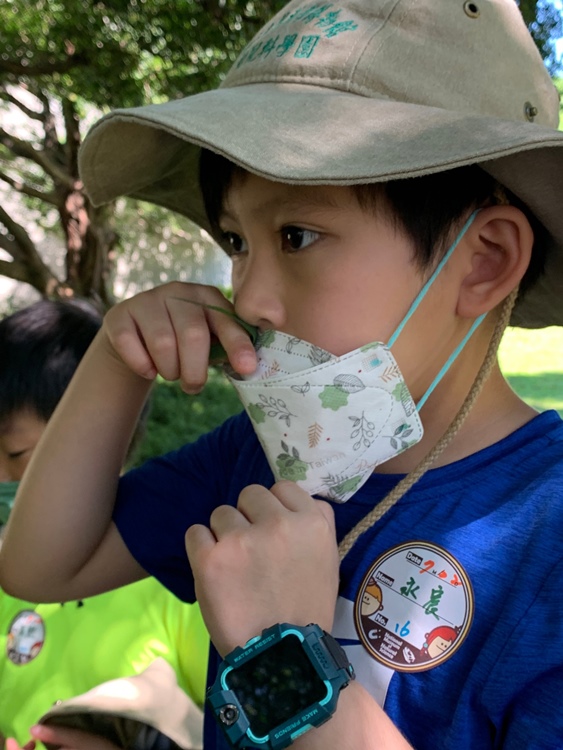 幼兒園：綠葉仙蹤(7/21-22)-圖片14