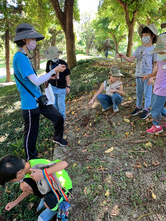 幼兒園：綠葉仙蹤(7/21-22)-圖片17