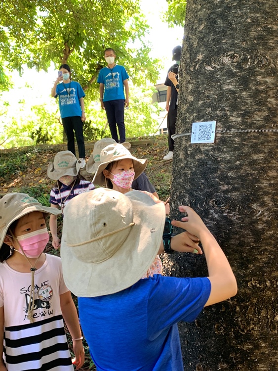 幼兒園：綠葉仙蹤(7/21-22)-圖片22