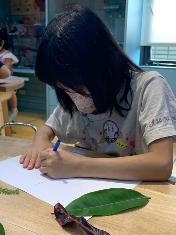 幼兒園：綠葉仙蹤(7/21-22)-圖片24