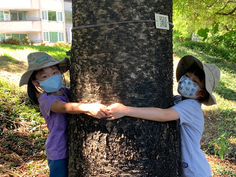 幼兒園：綠葉仙蹤(7/21-22)-圖片29