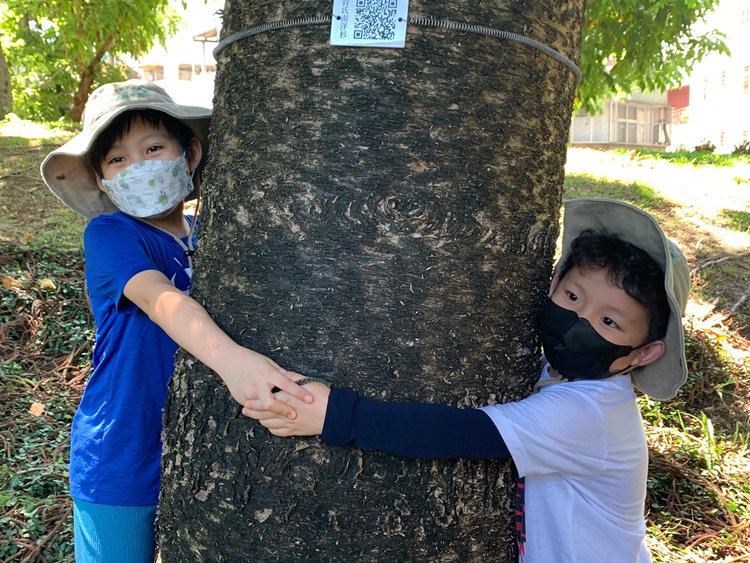 幼兒園：綠葉仙蹤(7/21-22)-圖片32