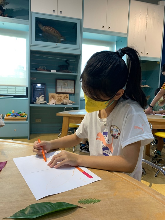 幼兒園：綠葉仙蹤(7/21-22)-圖片35