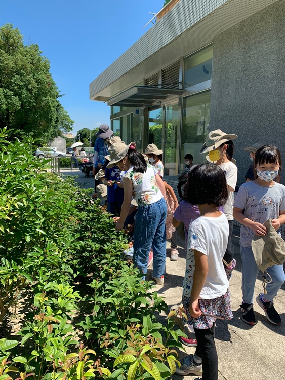 幼兒園：綠葉仙蹤(7/21-22)-圖片36