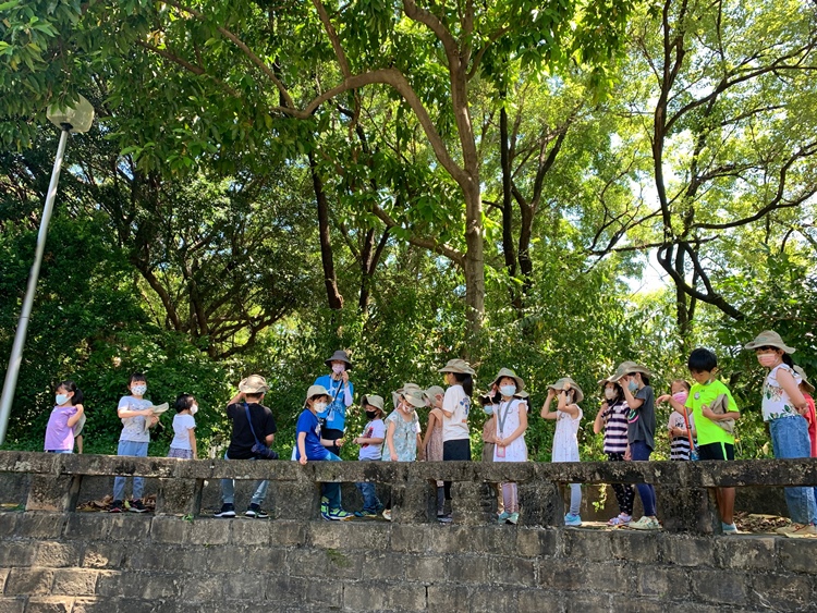 幼兒園：綠葉仙蹤(7/21-22)-圖片41