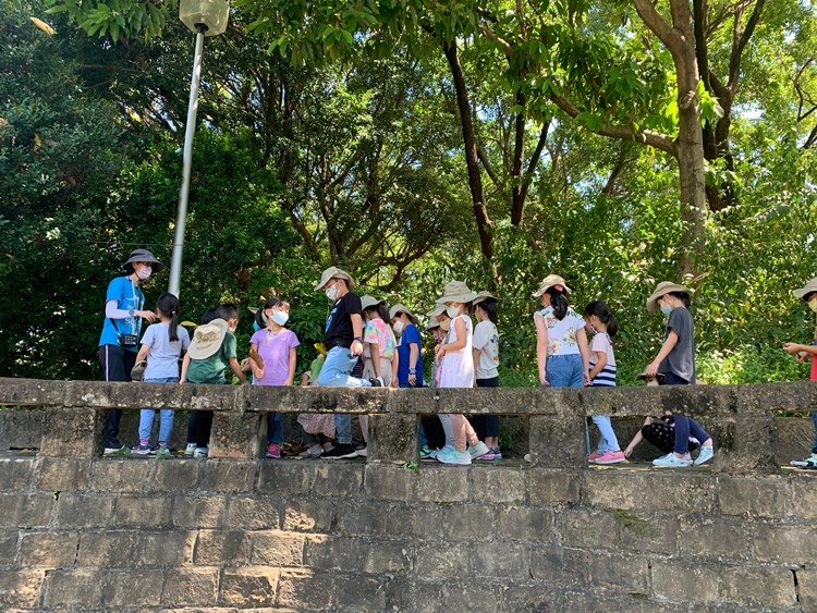 幼兒園：綠葉仙蹤(7/21-22)-圖片42