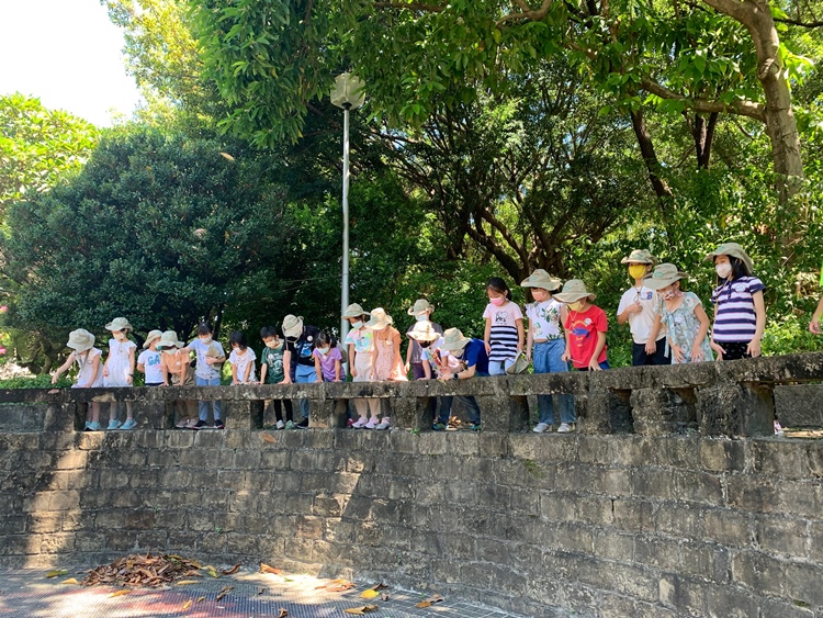 幼兒園：綠葉仙蹤(7/21-22)-圖片47
