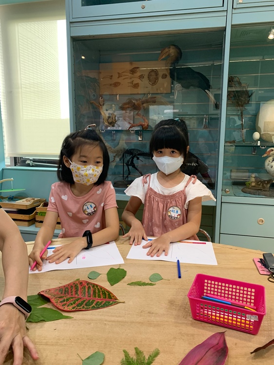 幼兒園：綠葉仙蹤(7/21-22)-圖片112