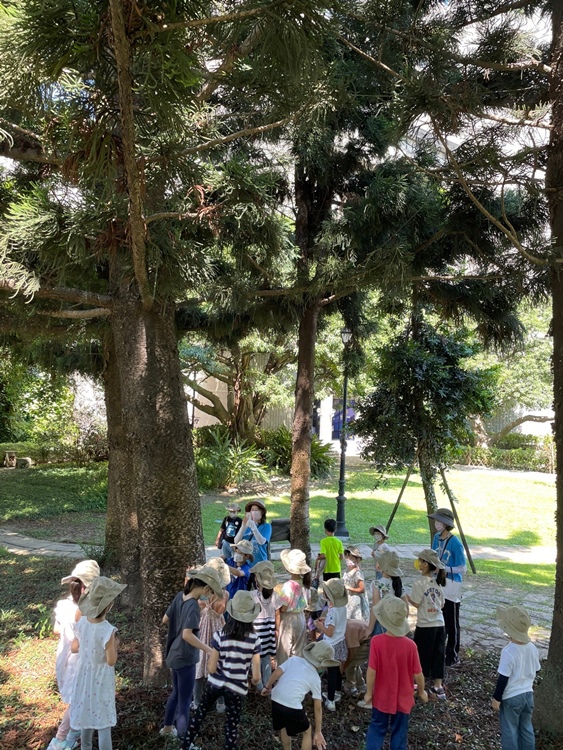 幼兒園：綠葉仙蹤(7/21-22)-圖片143