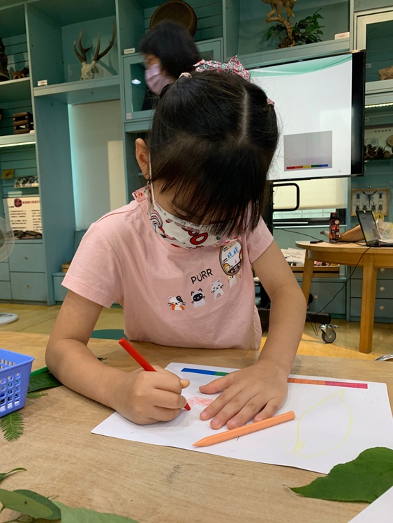 幼兒園：綠葉仙蹤(7/21-22)-圖片146
