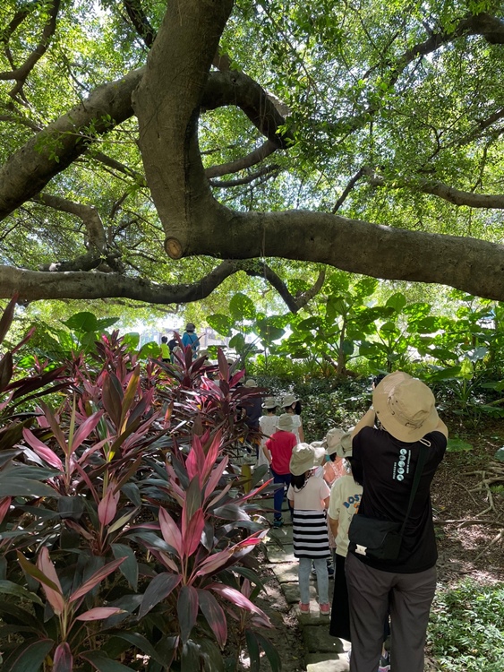 幼兒園：綠葉仙蹤(7/21-22)-圖片147