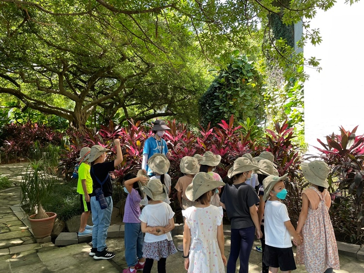 幼兒園：綠葉仙蹤(7/21-22)-圖片149