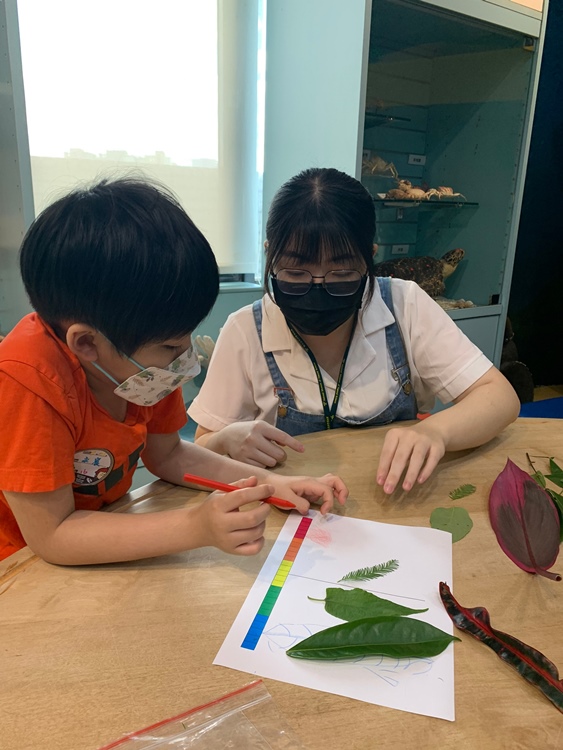 幼兒園：綠葉仙蹤(7/21-22)-圖片162