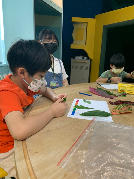 幼兒園：綠葉仙蹤(7/21-22)-圖片164