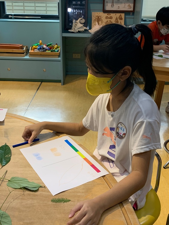 幼兒園：綠葉仙蹤(7/21-22)-圖片172