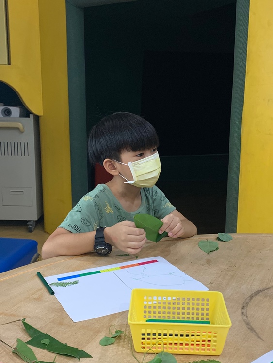 幼兒園：綠葉仙蹤(7/21-22)-圖片175