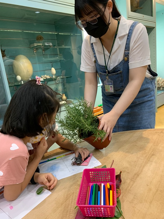 幼兒園：綠葉仙蹤(7/21-22)-圖片176