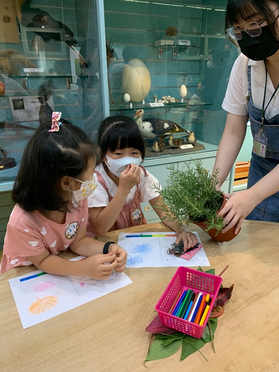 幼兒園：綠葉仙蹤(7/21-22)-圖片177
