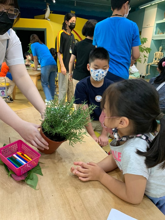 幼兒園：綠葉仙蹤(7/21-22)-圖片178