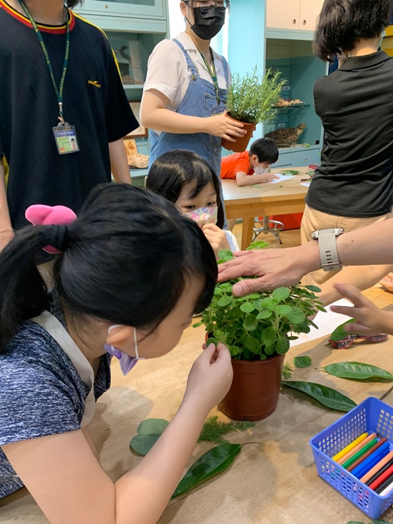 幼兒園：綠葉仙蹤(7/21-22)-圖片179