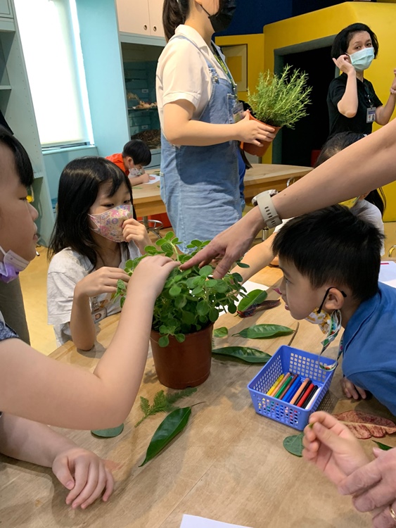 幼兒園：綠葉仙蹤(7/21-22)-圖片180