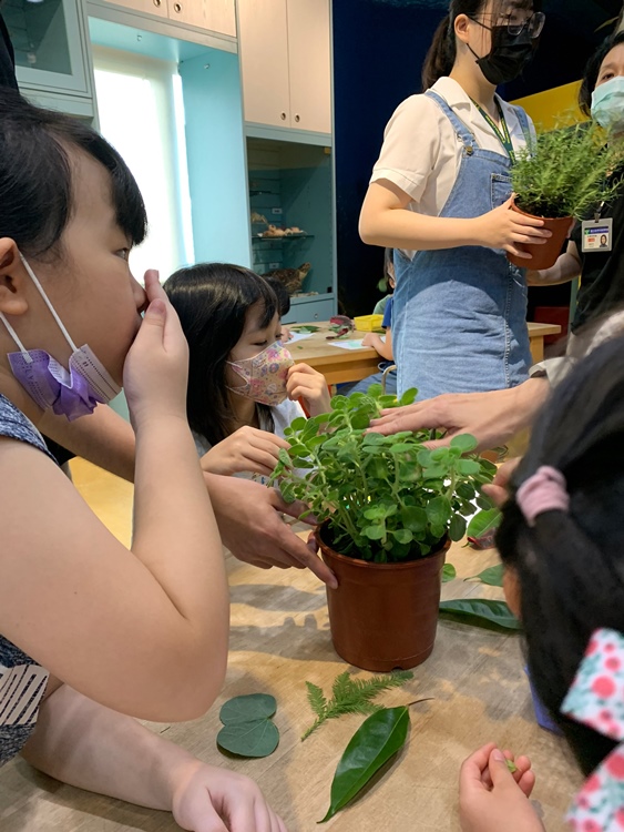 幼兒園：綠葉仙蹤(7/21-22)-圖片181