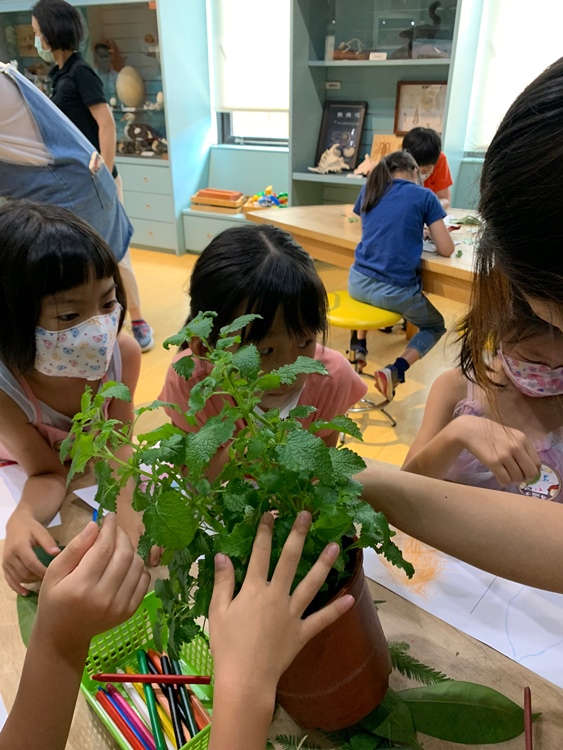 幼兒園：綠葉仙蹤(7/21-22)-圖片185