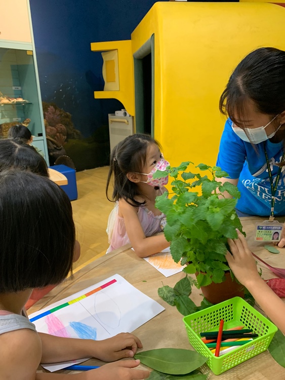 幼兒園：綠葉仙蹤(7/21-22)-圖片187
