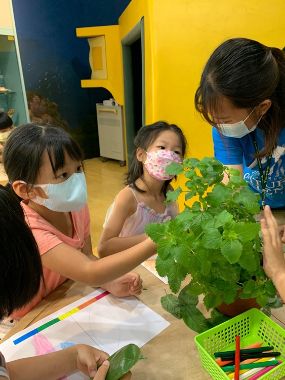 幼兒園：綠葉仙蹤(7/21-22)-圖片188