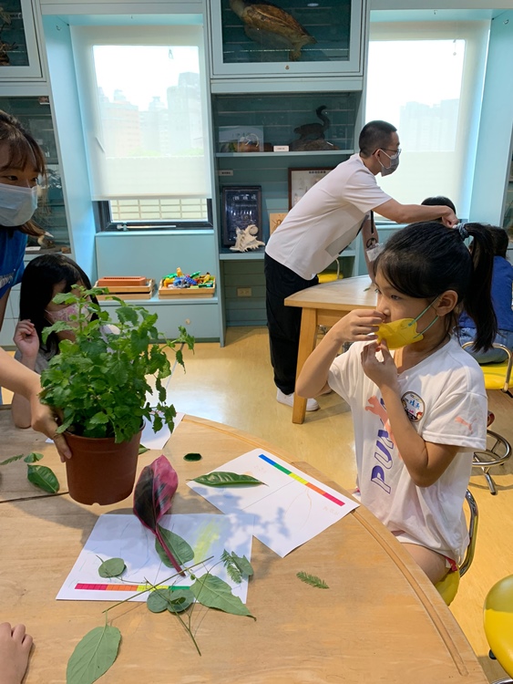 幼兒園：綠葉仙蹤(7/21-22)-圖片193
